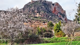 Almendros en flor 2023 Poza de la Sal [upl. by Earized253]