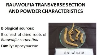 Microscopy of Rauwolfia roots its Transverse section powder characteristics of plant root [upl. by Verge462]