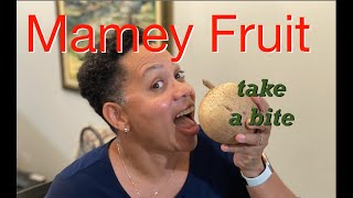 How to Eat the Mamey Fruit [upl. by Retsila]