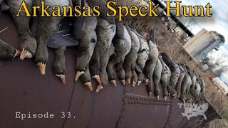 Arkansas Specklebelly Goose Hunting  True Southern Waterfowlers  EP33 [upl. by Ellinehc]