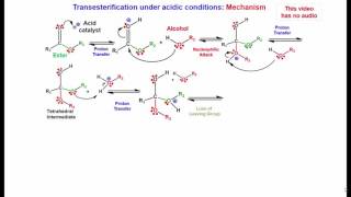 Transesterification Acidic conditions [upl. by Cornia]