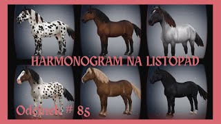 HARMONOGRAM NA LISTOPAD  NORIKERY  NOWE KONIE  odc85 sso starstableonline starstable [upl. by Wald]