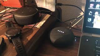 Alexa vs Google Home 23 [upl. by Valenba]