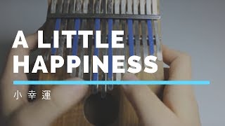 《小幸運 A Little Happiness》by Hebe Tian 拇指琴版本 Kalimba Cover [upl. by Alesiram]