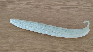 Yard Long Cucumber is actually a Muskmelon Cucumis melo var flexuosus [upl. by Ahker862]