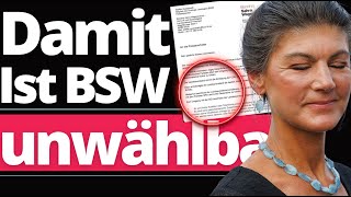 Wahnsinn BSW zerlegt sich KOMPLETT selbst [upl. by Flosi124]