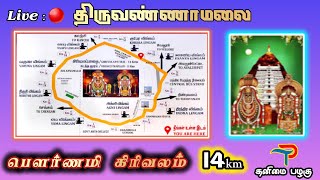 Tiruvannamalai Girivala Yathirai  2024  Live 🔴 [upl. by Marella]