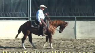 Cutting Horse Training Problems 3yrold part 3  dry work [upl. by Atteval]