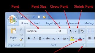 Ms Word Home Tab [upl. by Reinhold]