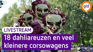 Bloemencorso Lichtenvoorde 2024  Omroep Gelderland [upl. by Oregolac141]