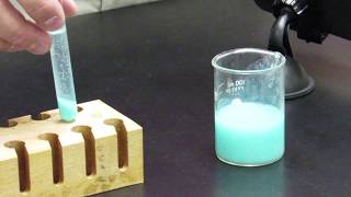 Properties of Matter Formation of Precipitate—Evidence of Chemical Change [upl. by Ecnarret713]