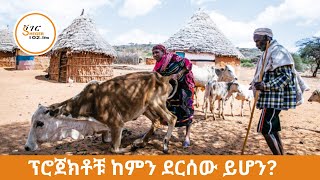 ድርቅ በሚደጋገምባቸው አካባቢዎች ይሰራሉ የተባሉ የመጠጥ ውሃ ፕሮጀክቶቹ አሁን የት ደረሱ [upl. by Bully]