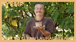 How To Clean Lauhala Leaves [upl. by Robbin]