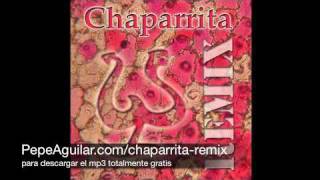 Pepe Aguilar  Chaparrita Sonidero Nacional Remix [upl. by Ligetti221]