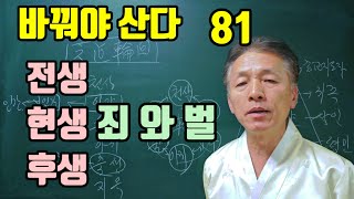 전생 현생 후생 죄를 지으면 짐승으로 태어나게 된다 [upl. by Kedezihclem575]