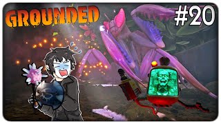 DOPPIA EPICA BOSS BATTLE ELIMINIAMO LA MANTIDE RELIGIOSA E IL DIRETTORE SCHMECTOR  Grounded  ep20 [upl. by Rhys]