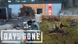 Days Gone  Clear Nests Community College Infestation [upl. by Ladnyk514]