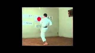 Shitoryu Karatedo Kihon Kata  Juni no Kata III [upl. by Monetta]