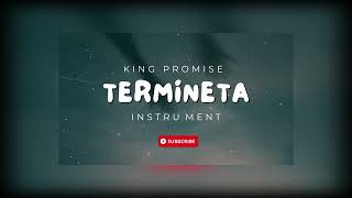 King Promise Terminator Instrumental [upl. by Stanly]