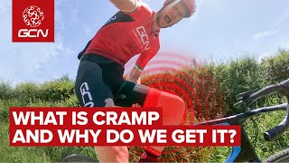 What Is Cramp And Why Do Cyclists Get It  GCN Does Science [upl. by Hampton]