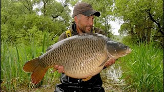 Lac dOrient CARP FISHING adventure [upl. by Ciryl672]