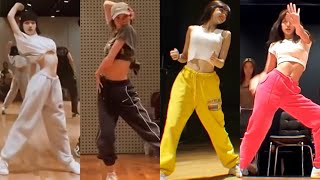 BLACKPINK LISA Dance Practice Compilation [upl. by Keemahs]