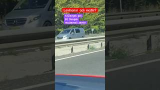 Cevaplar yoruma🤗 Trafik işaretleri Ehliyet sınavı ehliyetebruhoca ehliyetsınavı direksiyondersi [upl. by Ginzburg574]