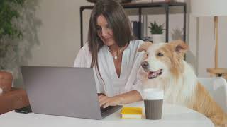 Life Hacks For Busy Dog Owners Using Quick Training Exercises For Everyday Life [upl. by Ebby]