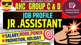 ALLAHABAD HIGH COURT NEW VACANCY 2024 NOTIFICATION AHC VACANCY GROUP C D STENO AGE ELIGIBILTY [upl. by Ikiv]