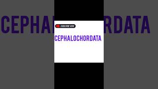 CEPHALOCHORDATA [upl. by Lynnet]