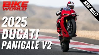 New Ducati Panigale V2  Eicma First Look [upl. by Nahgeam]