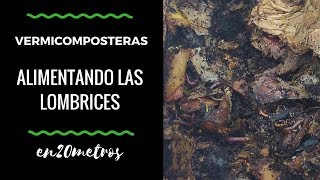 VERMICOMPOSTERAS alimenta tus LOMBRICES correctamente  en20metros [upl. by Danie]