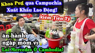 Khoa Pug Lái Mercedes Xuyên Đông Nam Á  Qua Campuchia Xuất Khẩu Lao Động Kiếm Tiền Tỷ Bị Ăn Hành [upl. by Dorrahs]