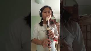 Camila Cabello  Havana recorder cover [upl. by Alysoun]