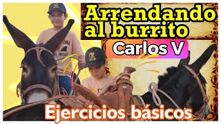 ERRENDAR UN BURRO NO ES TAREA FACILJORGITO ARRENDANDO A SU BURRITO CARLOS V🐴🐴🐴 [upl. by Maclaine]