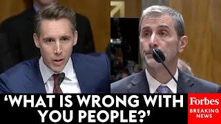 Thats Not A Rhetorical Question Josh Hawley Goes Nuclear On Big Tech Execs In Fiery Exchange [upl. by Carolyn]