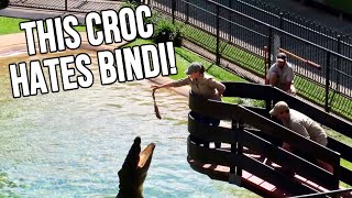 Croc Feeding Show With The Irwins At Australia Zoo [upl. by Ahsaek339]