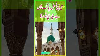 Subha Taiba Mein Hui  Rabi ul Awal Naat  shorts [upl. by Cimbura]