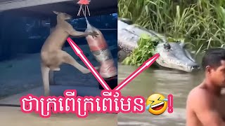 Funny គីឡូចេកៗកុំមកចង់ហក់🤣🤣RatanaFunny comedyfilms funnyshorts [upl. by Aisinut177]