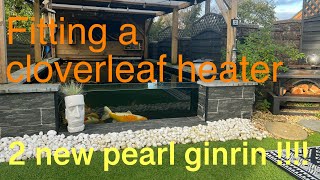 Cloverleaf pond heater fitting new fish WOW pearl additions sanke koi cloverleaf ponds [upl. by Melamed207]