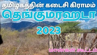 தெங்குமரஹடா 2023  Spotted Animals  பாலைவனமாக மாறும் அவலம் Thengumarahada [upl. by Yerrok]