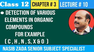 Detection Of Various Elements in Organic Compounds Detection of CHNSX O NASIBZADASSS [upl. by Naivatco906]