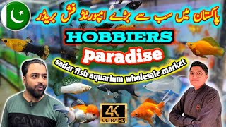 fish aquarium saddar  HOBBiERS Paradise saddar fish aquarium Karachi Pakistan 🐌🦐🐠🐟👌 [upl. by Cornia]