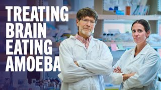 Finding treatments for brain eating amoeba [upl. by Eidnyl]