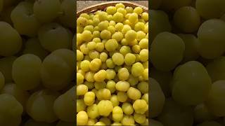 Gooseberry in our farm 🏠 gooseberry farm organic greenhousegardening greenhousegardening [upl. by Anurb]