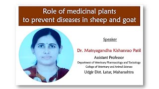 Role of medicinal plants to prevent diseases in sheep and goats Sheepfarming Goatfarming [upl. by Issirk]