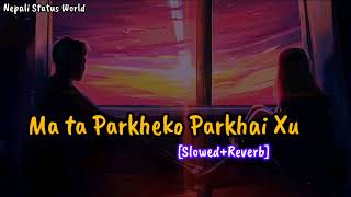 Ma ta Parkheko Parkhai Xu💗💐  New Nepali Romantic Song   Slow Reverb  Ft Devendra Bablu  lofi [upl. by Asiral699]