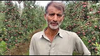 Another success story of Apple high density Orchard in budgam district of JampK [upl. by Ranchod]