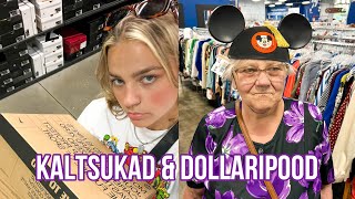 KALTSUKAD amp DOLLARIPOOD  Ameerika vlog 7 [upl. by Behlke139]