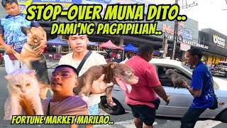 PET MARKET STOPOVER DITO SA MARILAO [upl. by Cristian51]